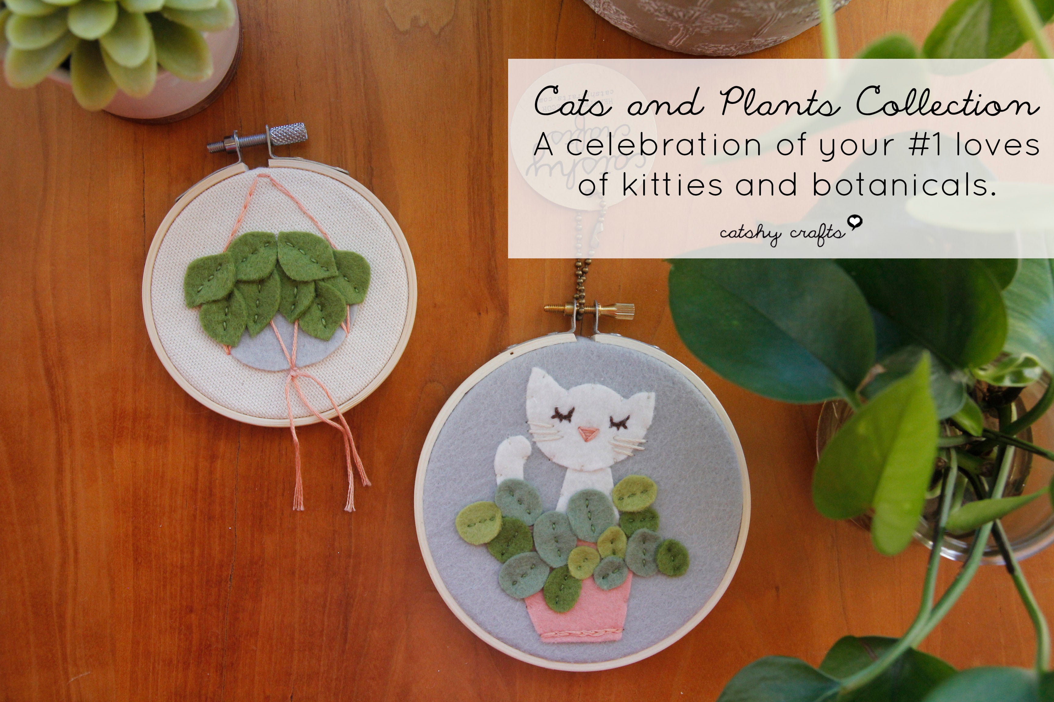 Calling all cat and plant lovers!