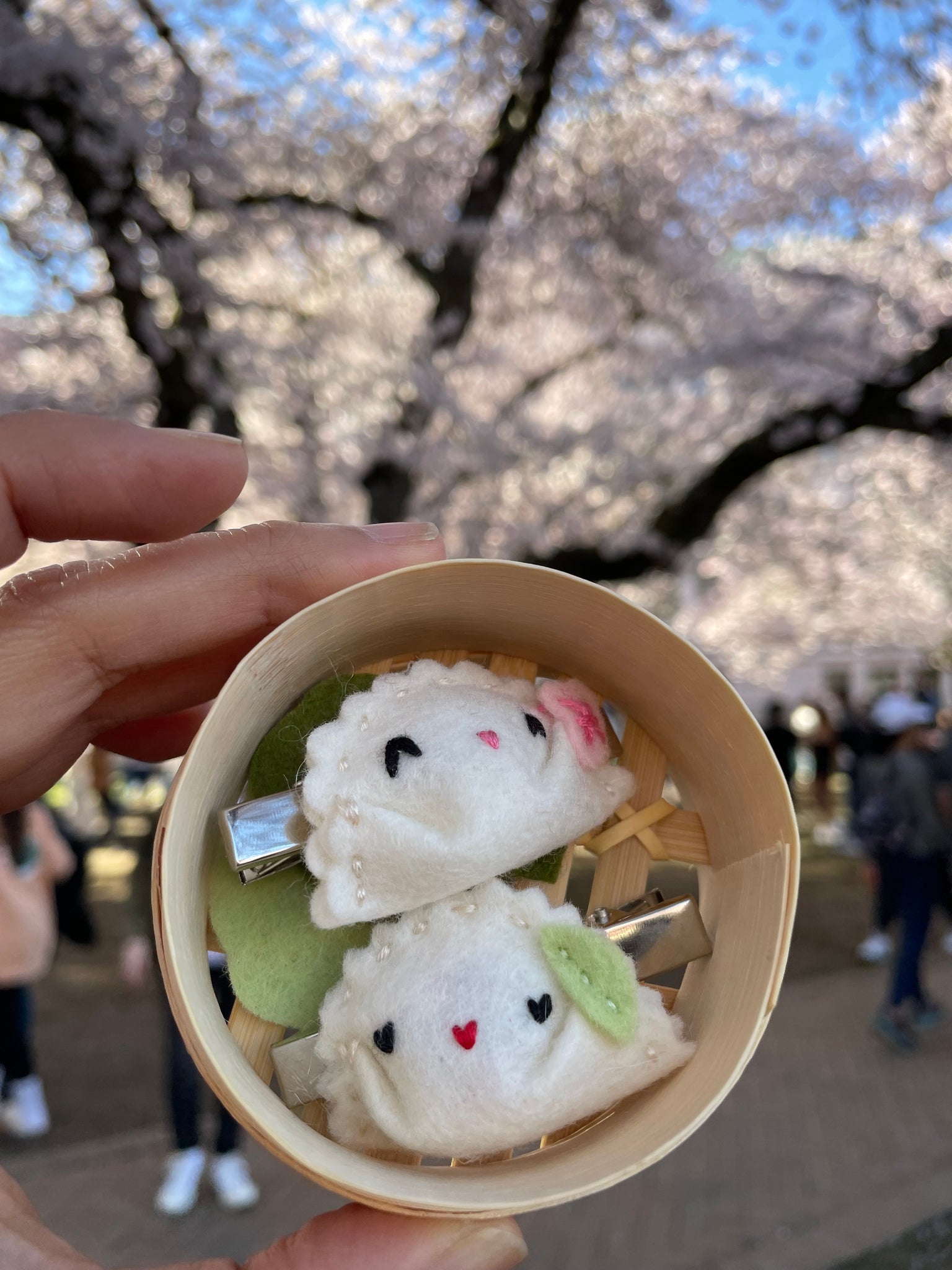 Set of 2 Handmade Felt Hair Clips in Bamboo Steamer