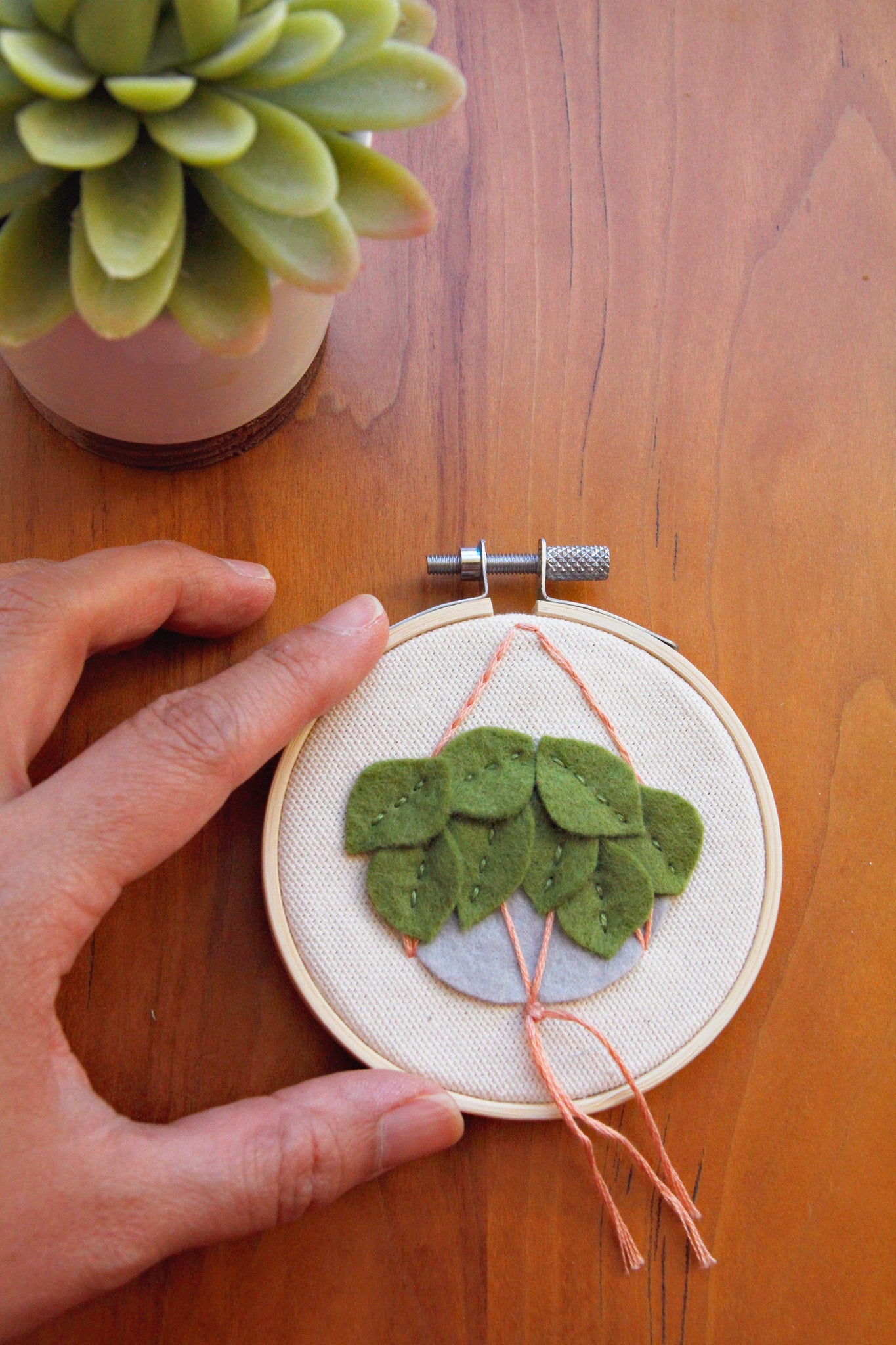 Mini Hanging Plant / 3 inch Embroidery Hoop Art / Cats and Plants Coll –  Catshy Crafts